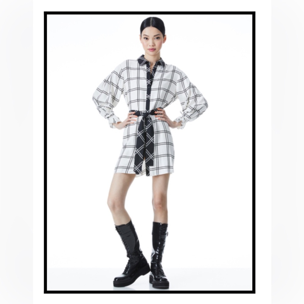 NWT Alice and Olivia windowpane dress